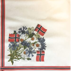 SERVIETT DUNISOFT 40CM 17.MAI (60)