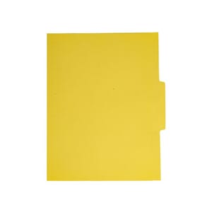 VERTIKALMAPPE A4 FANE M.150G MANI.(100)