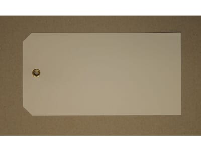299013.jpg